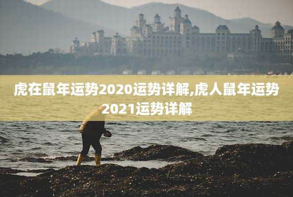 虎在鼠年运势2020运势详解,虎人鼠年运势2021运势详解