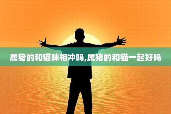 属猪的和猫咪相冲吗,属猪的和猫一起好吗