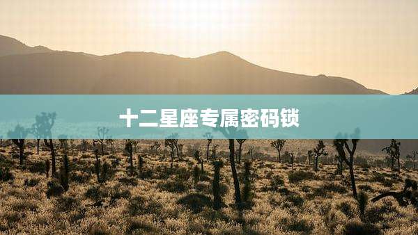十二星座专属密码锁