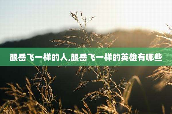 跟岳飞一样的人,跟岳飞一样的英雄有哪些