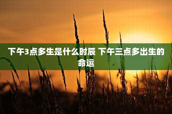 下午3点多生是什么时辰 下午三点多出生的命运