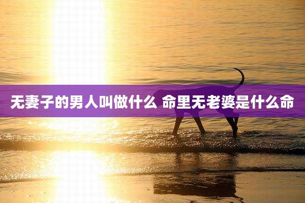 无妻子的男人叫做什么 命里无老婆是什么命