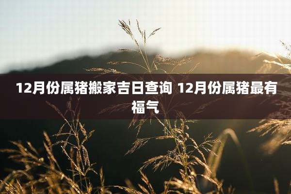 12月份属猪搬家吉日查询 12月份属猪最有福气