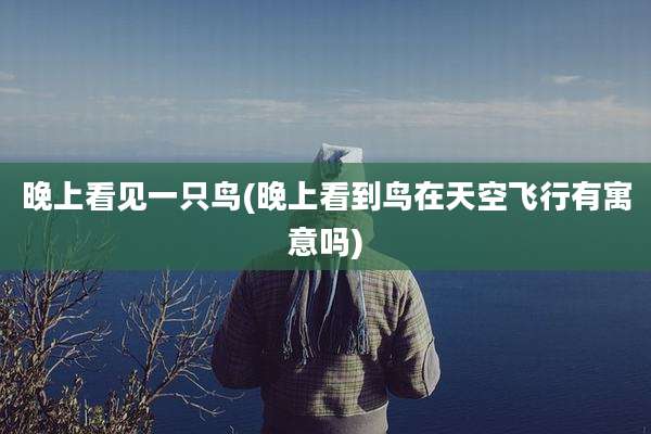 晚上看见一只鸟(晚上看到鸟在天空飞行有寓意吗)