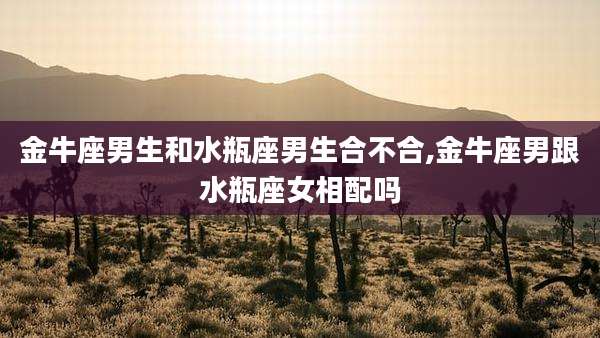 金牛座男生和水瓶座男生合不合,金牛座男跟水瓶座女相配吗