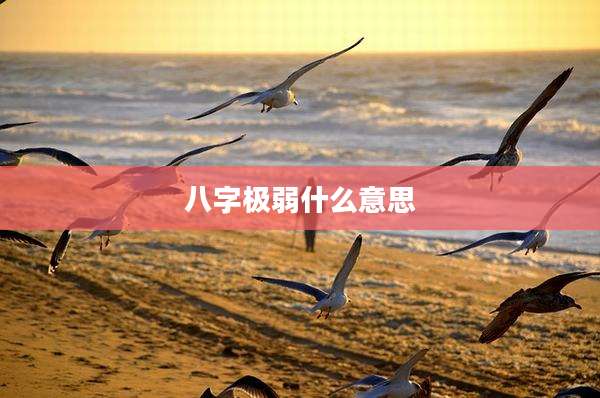 八字极弱什么意思