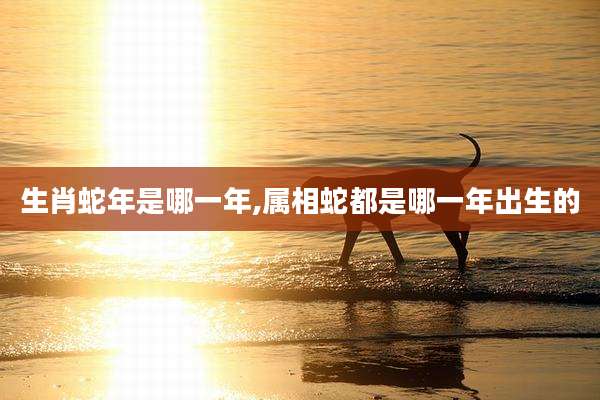 生肖蛇年是哪一年,属相蛇都是哪一年出生的