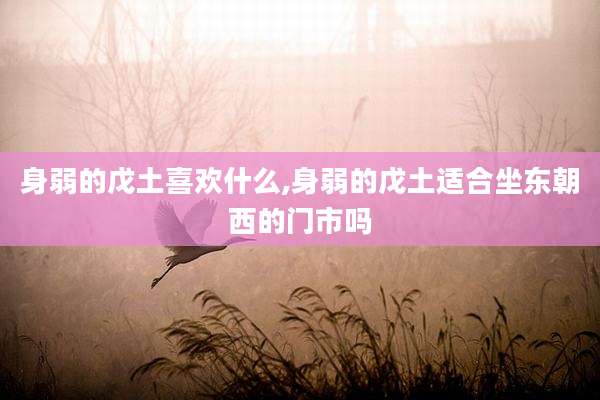 身弱的戊土喜欢什么,身弱的戊土适合坐东朝西的门市吗
