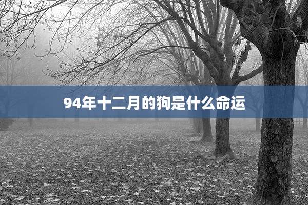 94年十二月的狗是什么命运