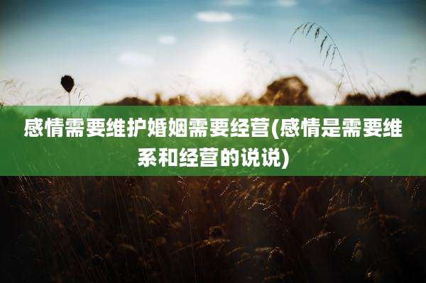 感情需要维护婚姻需要经营(感情是需要维系和经营的说说)