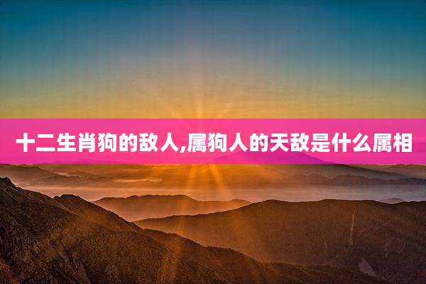 十二生肖狗的敌人,属狗人的天敌是什么属相