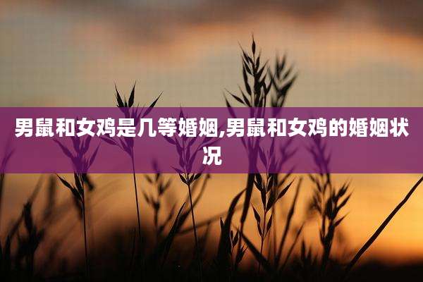 男鼠和女鸡是几等婚姻,男鼠和女鸡的婚姻状况