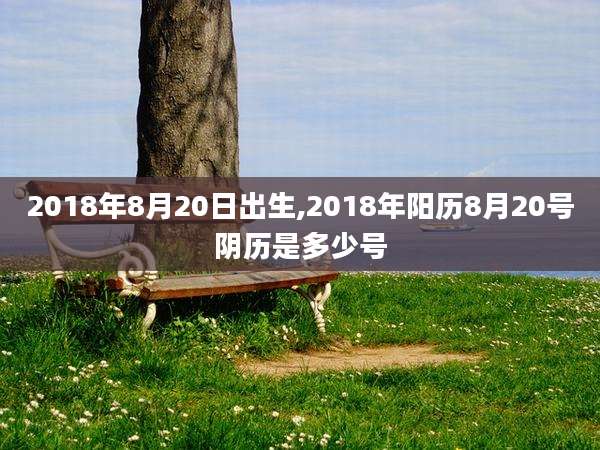 2018年8月20日出生,2018年阳历8月20号阴历是多少号