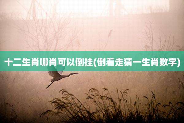 十二生肖哪肖可以倒挂(倒着走猜一生肖数字)