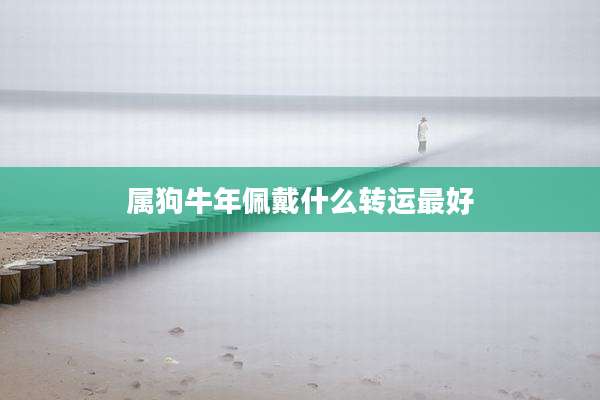 属狗牛年佩戴什么转运最好