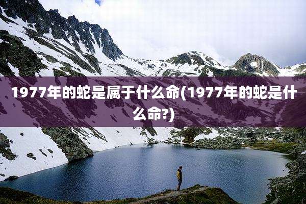 1977年的蛇是属于什么命(1977年的蛇是什么命?)