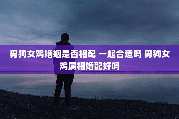 男狗女鸡婚姻是否相配 一起合适吗 男狗女鸡属相婚配好吗