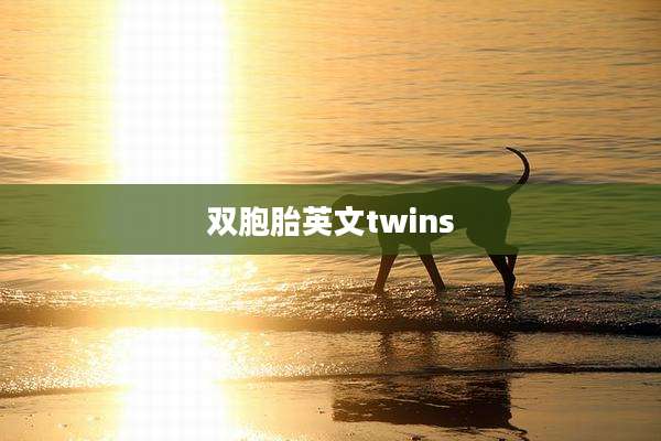 双胞胎英文twins