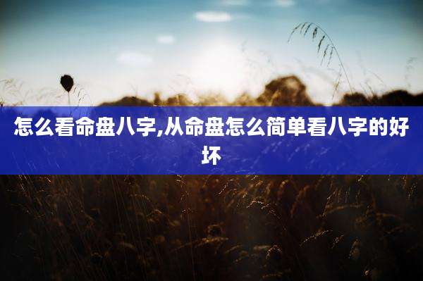 怎么看命盘八字,从命盘怎么简单看八字的好坏