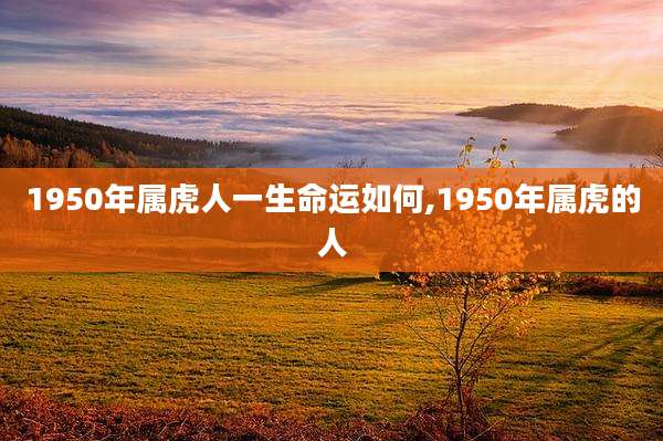 1950年属虎人一生命运如何,1950年属虎的人