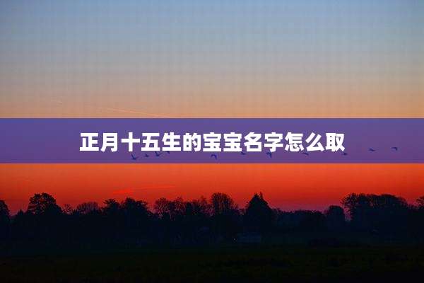 正月十五生的宝宝名字怎么取
