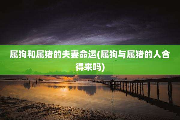 属狗和属猪的夫妻命运(属狗与属猪的人合得来吗)