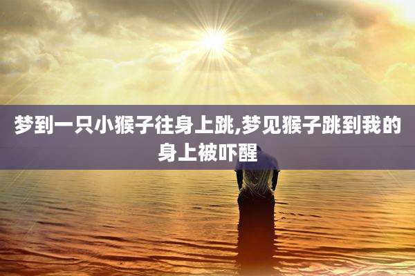 梦到一只小猴子往身上跳,梦见猴子跳到我的身上被吓醒