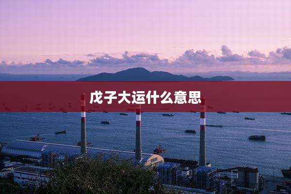 戊子大运什么意思