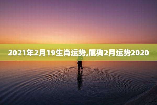 2021年2月19生肖运势,属狗2月运势2020