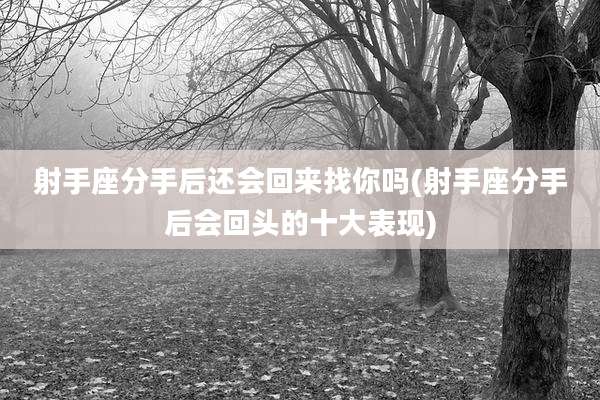 射手座分手后还会回来找你吗(射手座分手后会回头的十大表现)