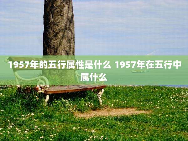 1957年的五行属性是什么 1957年在五行中属什么