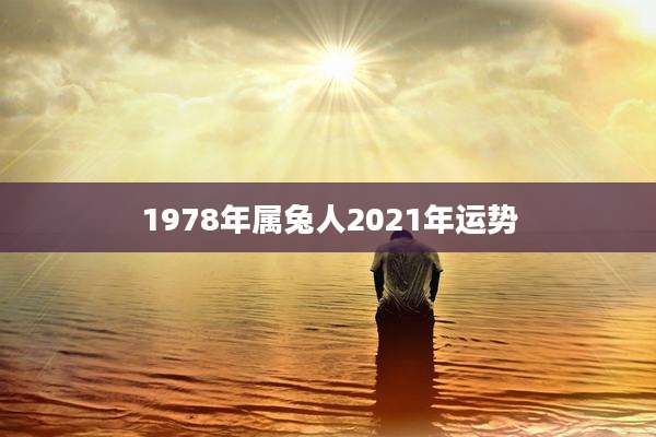 1978年属兔人2021年运势