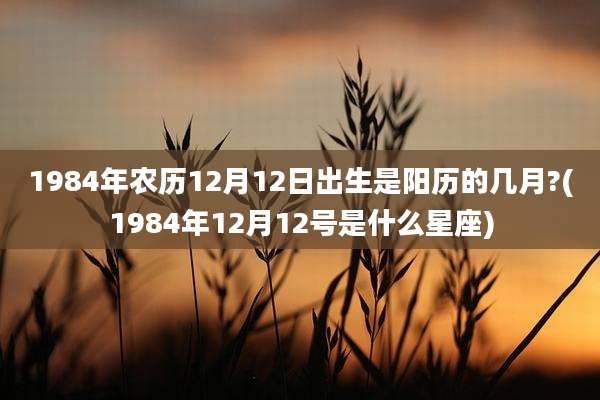 1984年农历12月12日出生是阳历的几月?(1984年12月12号是什么星座)