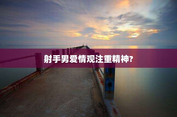 射手男爱情观注重精神?