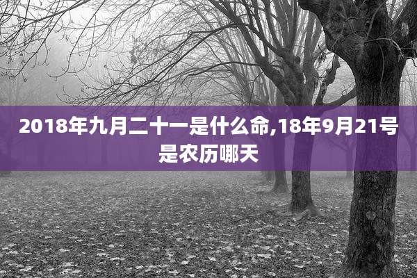 2018年九月二十一是什么命,18年9月21号是农历哪天