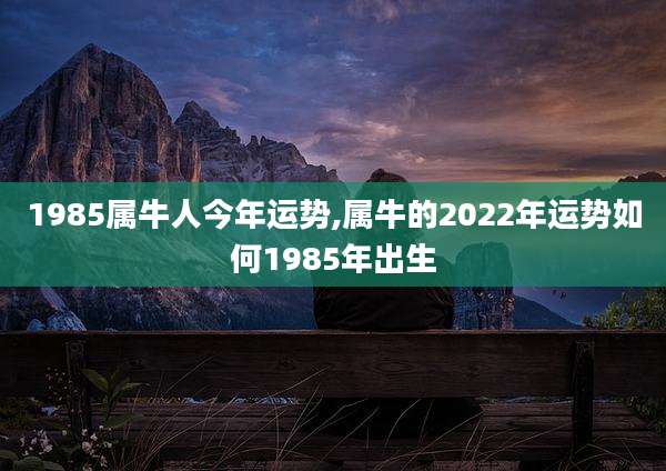 1985属牛人今年运势,属牛的2022年运势如何1985年出生
