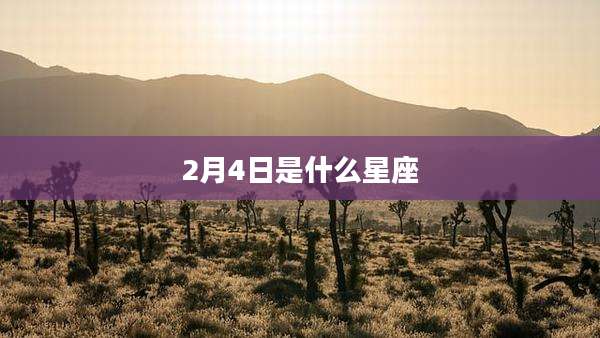 2月4日是什么星座