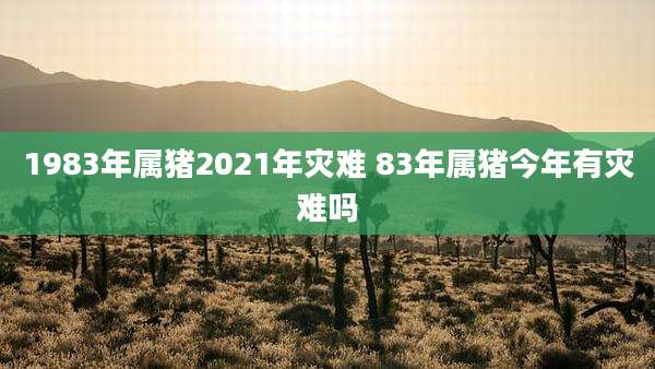 1983年属猪2021年灾难 83年属猪今年有灾难吗