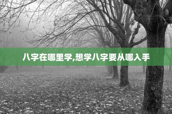 八字在哪里学,想学八字要从哪入手