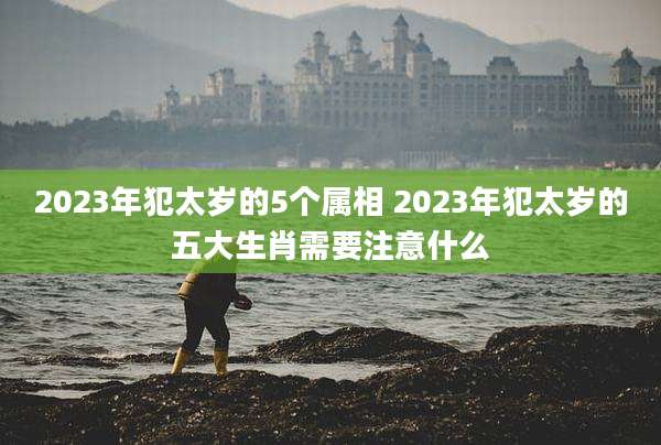 2023年犯太岁的5个属相 2023年犯太岁的五大生肖需要注意什么