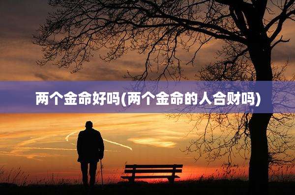 两个金命好吗(两个金命的人合财吗)