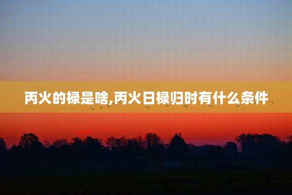 丙火的禄是啥,丙火日禄归时有什么条件