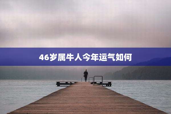46岁属牛人今年运气如何