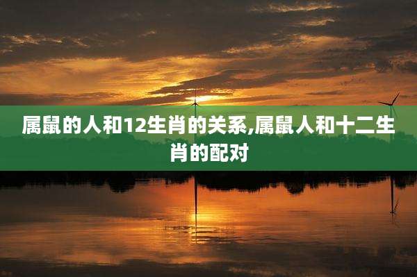 属鼠的人和12生肖的关系,属鼠人和十二生肖的配对