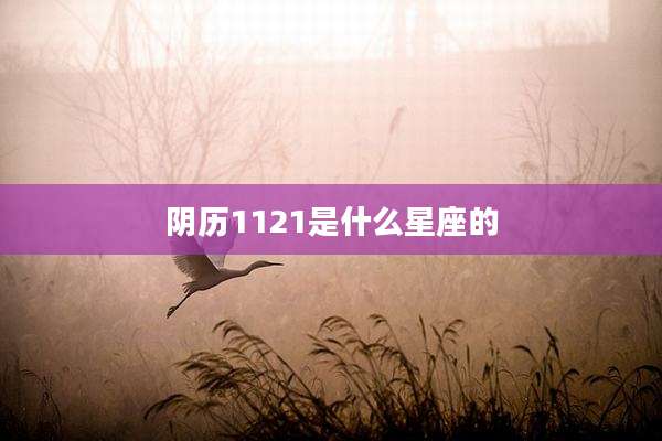 阴历1121是什么星座的