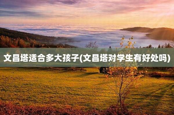 文昌塔适合多大孩子(文昌塔对学生有好处吗)