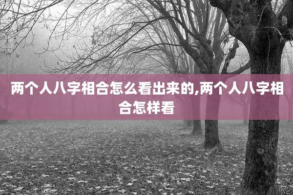 两个人八字相合怎么看出来的,两个人八字相合怎样看