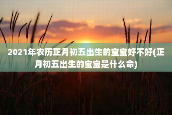 2021年农历正月初五出生的宝宝好不好(正月初五出生的宝宝是什么命)