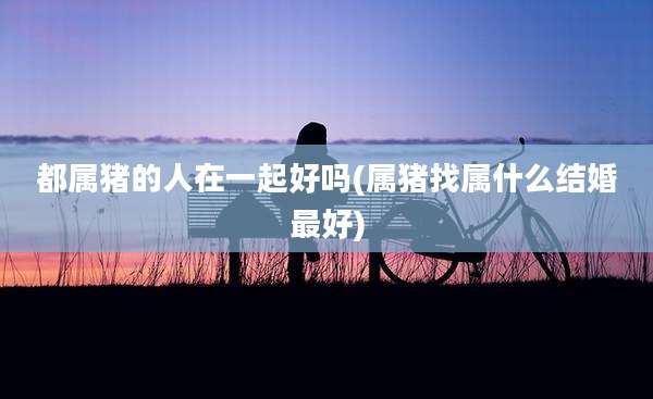 都属猪的人在一起好吗(属猪找属什么结婚最好)