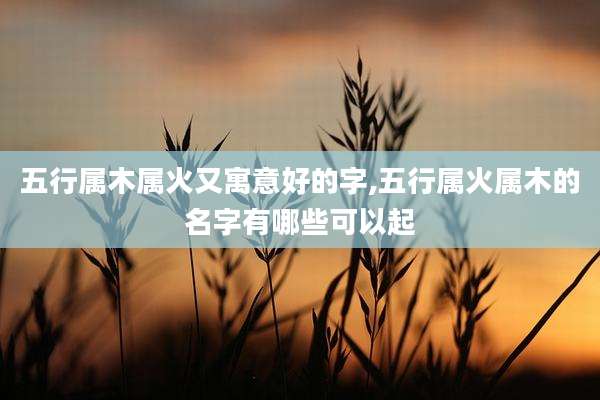 五行属木属火又寓意好的字,五行属火属木的名字有哪些可以起
